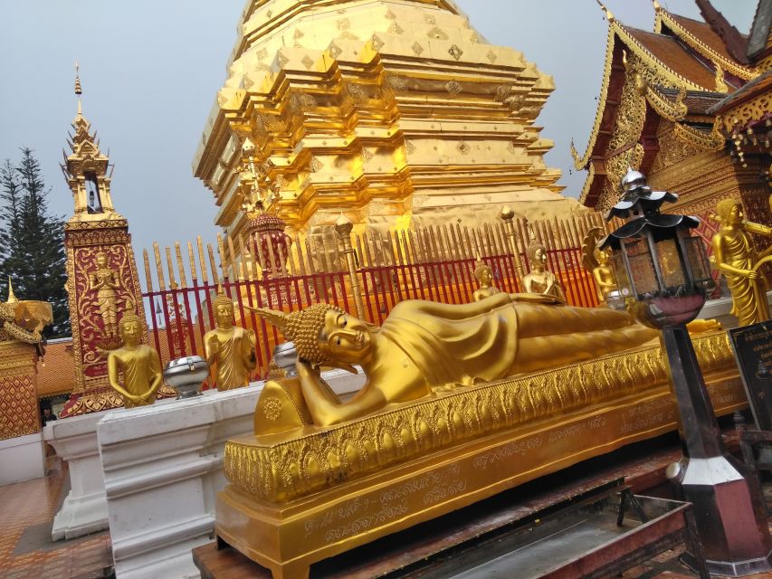 Chiang Mai: 7-Hour Doi Suthep National Park Summit Hiking - Lunch timing, hydration, and why the support truck matters