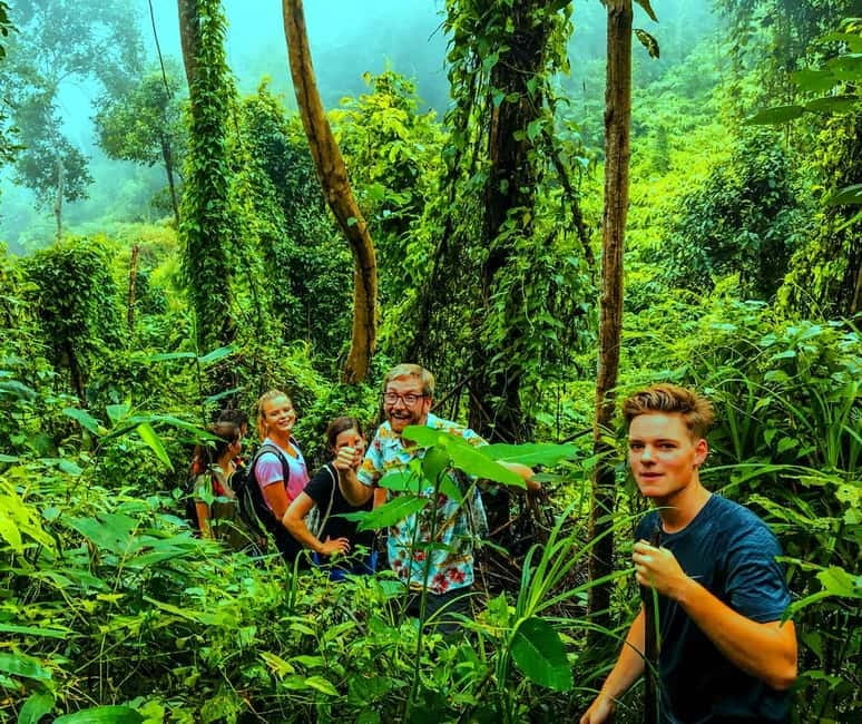 Chiang Mai: 7-Hour Doi Suthep National Park Summit Hiking - The guides: why this hike feels safe and fun