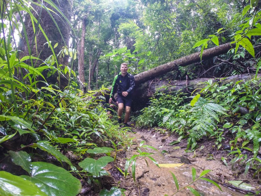Chiang Mai: 7-Hour Doi Suthep National Park Summit Hiking - Price and logistics: what $60 really buys you