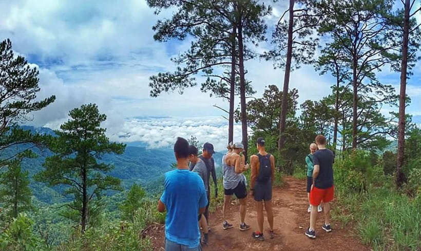 Chiang Mai: 7-Hour Doi Suthep National Park Summit Hiking - Wat Pha Lat monk trail: the forest walk that sets the tone