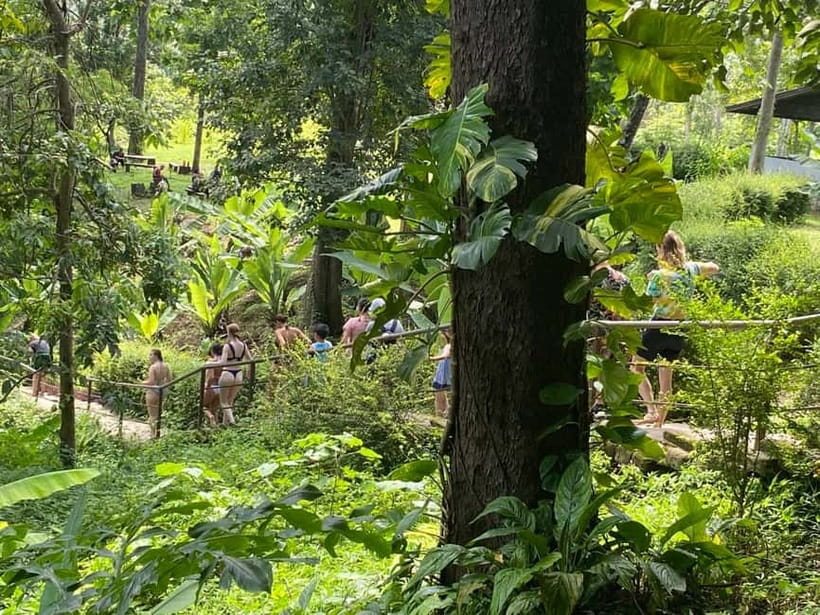 Chiang Mai: Afternoon Bua Tong Sticky Waterfall by Red Taxi - What the Sticky Waterfall Climb Feels Like