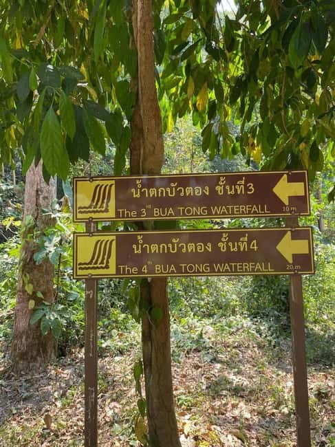 Chiang Mai: Afternoon Bua Tong Sticky Waterfall by Red Taxi - What to Bring: The Wet-Comfort Checklist That Actually Helps
