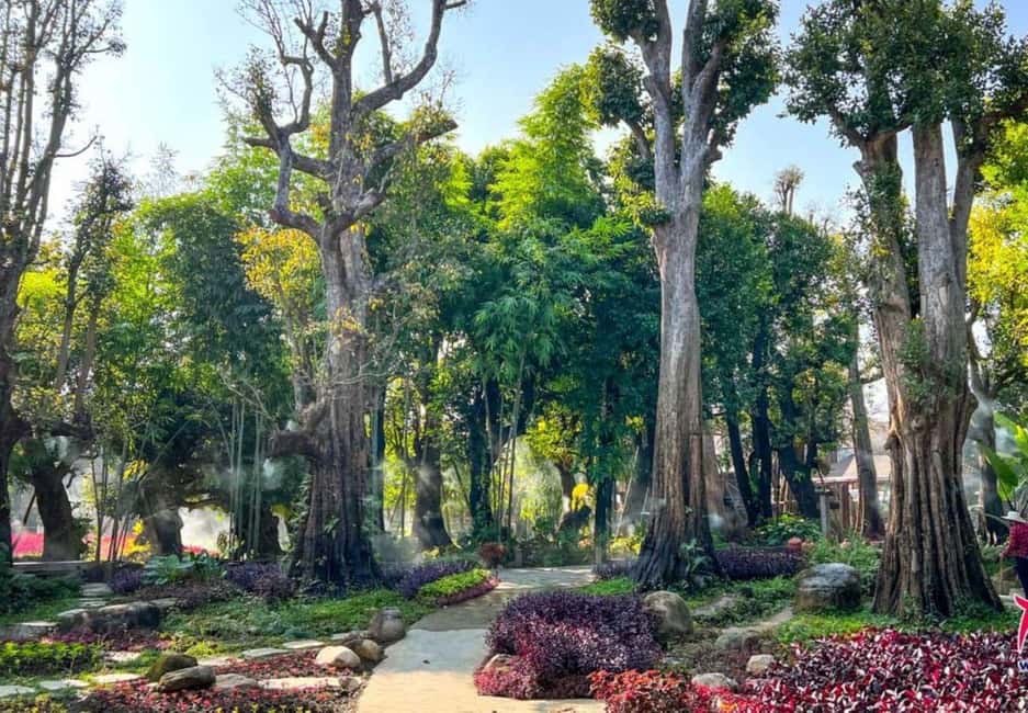 Chiang Mai: Angel Waterfall & Sticky Waterfall & Wat Ban Den - Wat Ban Den: Halls and Stupas in a Big Buddhist Complex
