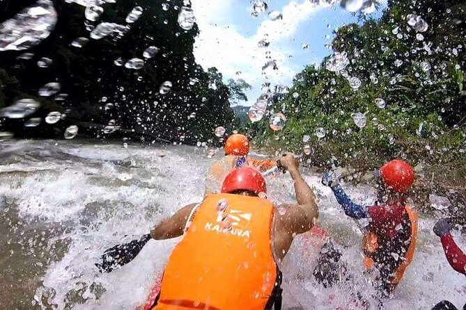 Chiang Mai ATV White Water Rafting and Elephant Sanctuary Full-Day Trip - Boon Led Elephant Sanctuary: digesting herbs and a closer education