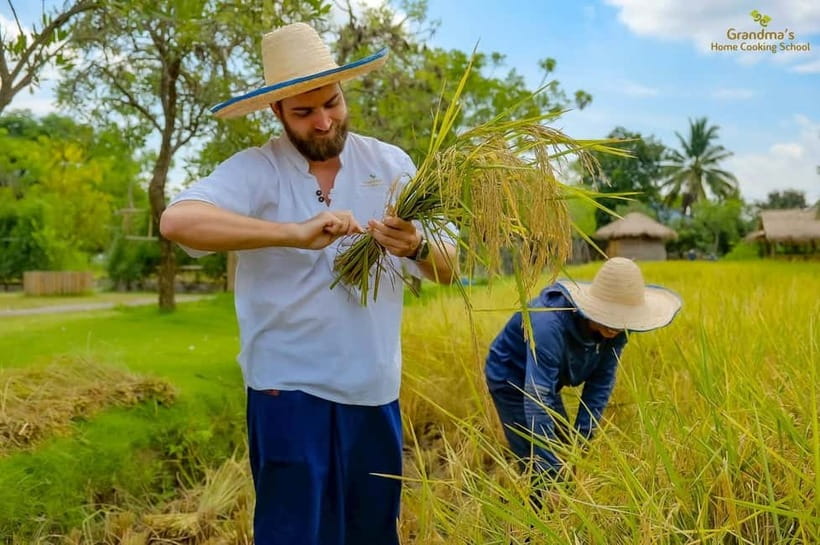 Chiang Mai: Authentic Cooking Class with Market & Farm Visit - What you’ll eat, how much, and why it’s not just a demo