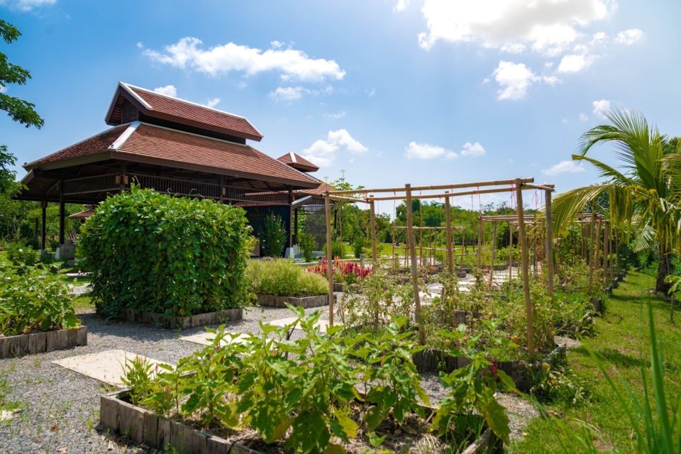 Chiang Mai: Authentic Cooking Class with Market & Farm Visit - Grandma’s organic farm: chickens, eggs, herbs, and mushroom hunting