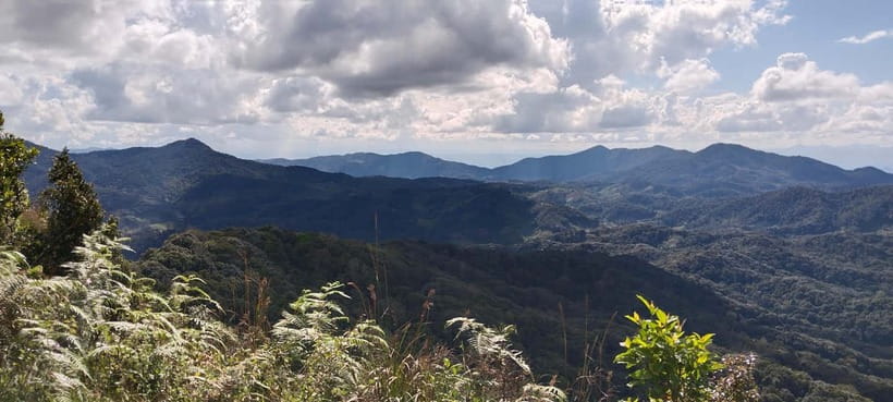 Chiang Mai Authentic Trekking - Why This Chiang Mai Trek Feels Different from the Usual Tours