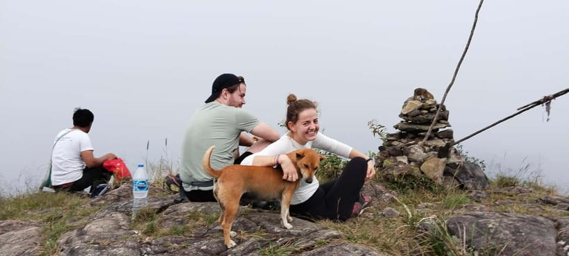 Chiang Mai Authentic Trekking - Phalai Mountain Peak: High Views and Wildlife You Might See