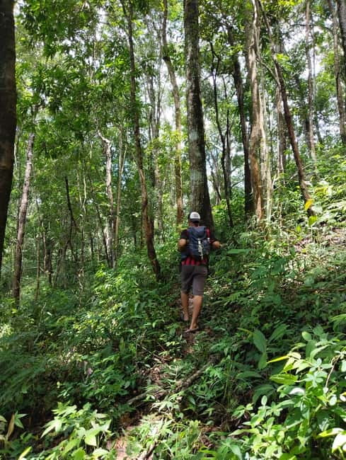 Chiang Mai Authentic Trekking - After Lunch: Hill Tribe Farms and a Second Kind of Walking