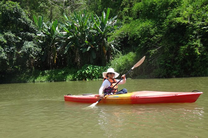 Chiang Mai Biking & River Kayak : Gentle Thrills in a Lush Valley - Key Points That Matter Before You Go