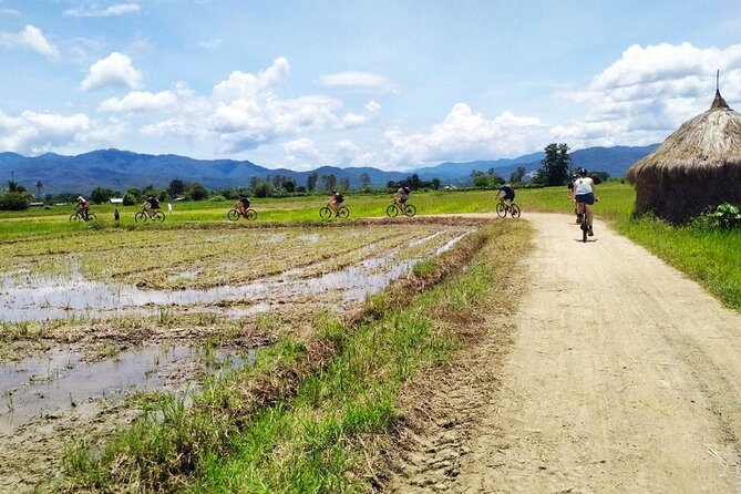 Chiang Mai Biking & River Kayak : Gentle Thrills in a Lush Valley - Kayaking the Mae Ping River: You Control the Boat