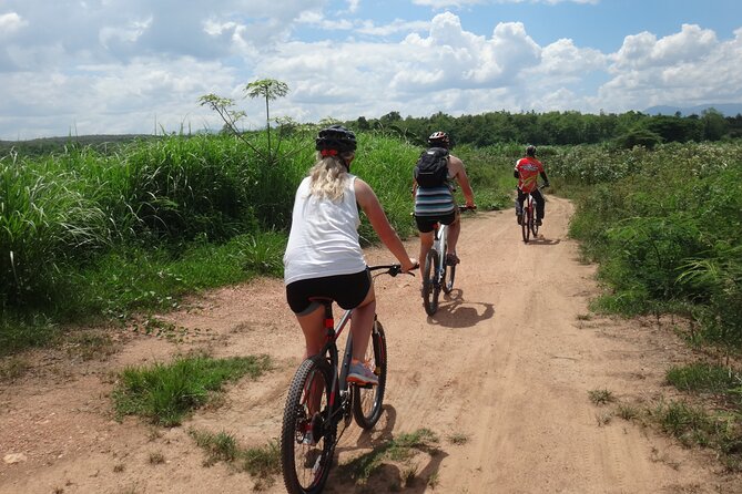 Chiang Mai Biking & River Kayak : Gentle Thrills in a Lush Valley - Lunch at Mango Plantation Restaurant: Vegetarian and Vegan Friendly