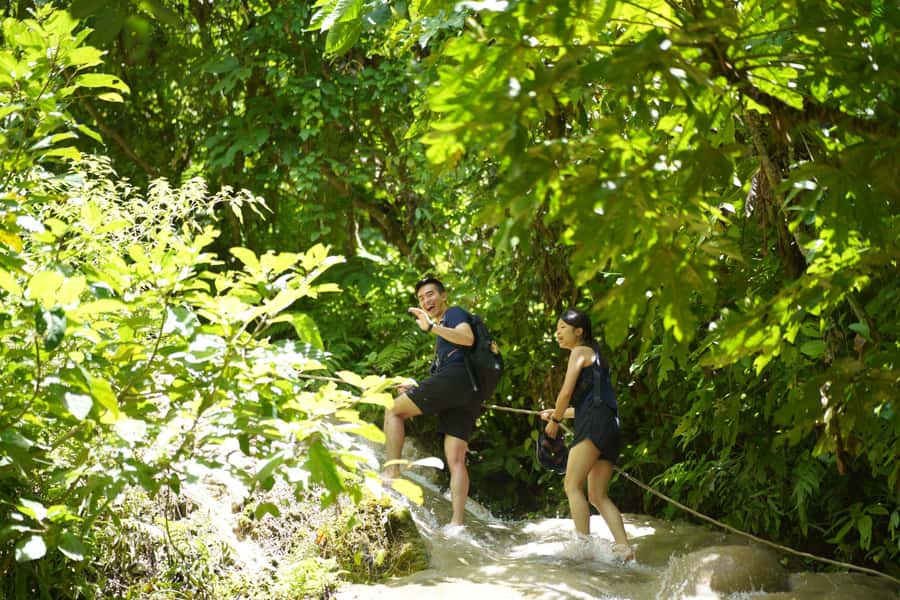Chiang Mai: Bua Thong Sticky Waterfall & Huge Cave & Buffet - Bua Tong Cave: legend, limestone steps, and a story-led climb