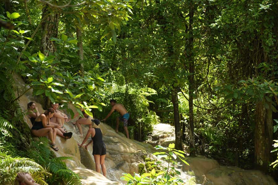 Chiang Mai: Bua Thong Sticky Waterfall & Huge Cave & Buffet - Sticky (But Tong) Waterfall: four levels, creamy limestone, and careful grip