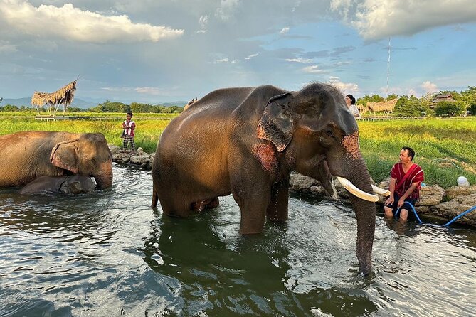 Chiang Mai Chapulin Elephant Care and Sticky Waterfall - Price and value around $38.72: what you’re really paying for