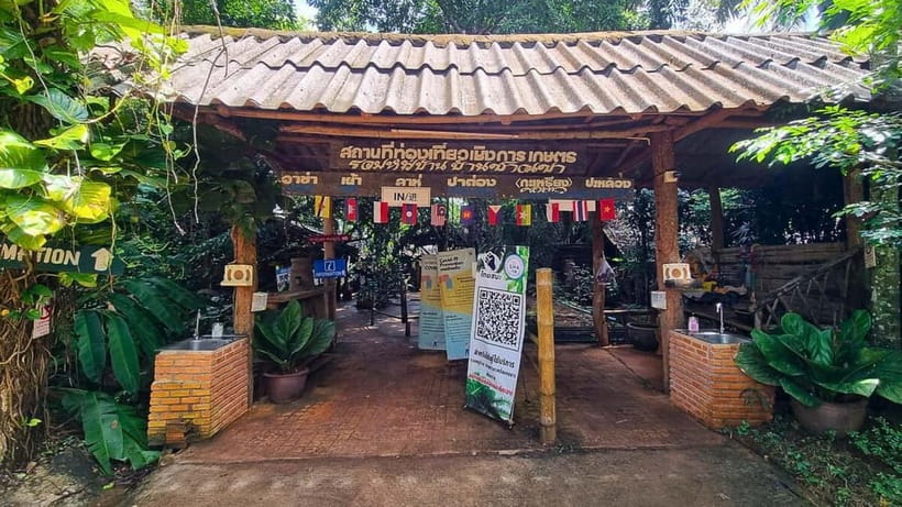Chiang Mai: Chiang Rai Temples, Golden Triangle & Boat Tour - Lunch, breaks, and how the schedule keeps moving