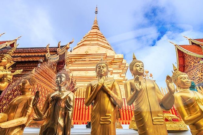 Chiang Mai City and Temples Half-Day Tour - Wat Suan Dok: The White Memorial Chedi and Royal Remains
