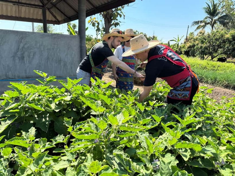 Chiang Mai : Cook in Farm, Market tour & Go by a Local Train - Cooking and tasting: hands-on Thai technique you can repeat
