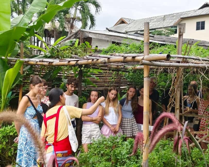Chiang Mai: Cooking Class, Market & Thai Herbs Garden Tour - Pick your menu: starters, mains, and mango sticky rice