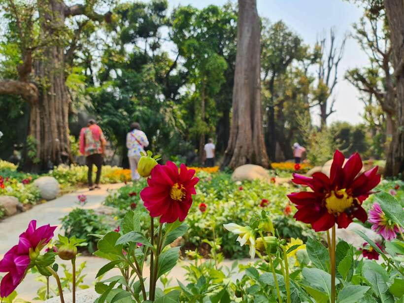 Chiang Mai: Dantewada Land of Angels & Sticky Waterfall Tour - Seven-Colored Fountain Trail: A Short Walk With a Sacred-Place Reminder