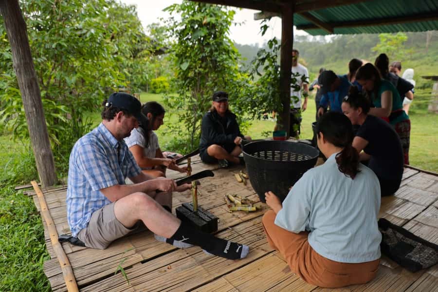 Chiang Mai: Day for Elephant Observation Only Half-day Trip - Price at about $46: what you are really paying for