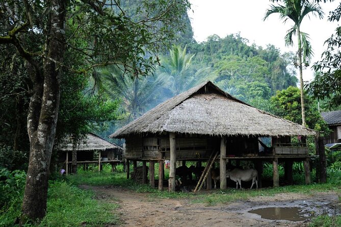 Chiang Mai Day Tour: Chiang Dao Cave and Hill Tribes - Ban Huai I-Ko and Five Hill Tribes: Akha, Meo, Lisu, Karen, Palong
