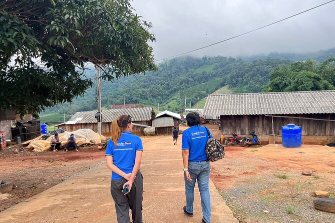Chiang Mai Day Tour: Chiang Dao Cave and Hill Tribes - Timing and Transport: How the Day Flows