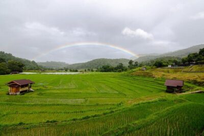 Chiang Mai - Doi Inthanon Full day Tour - Wachirathan Falls: the first big waterfall hit