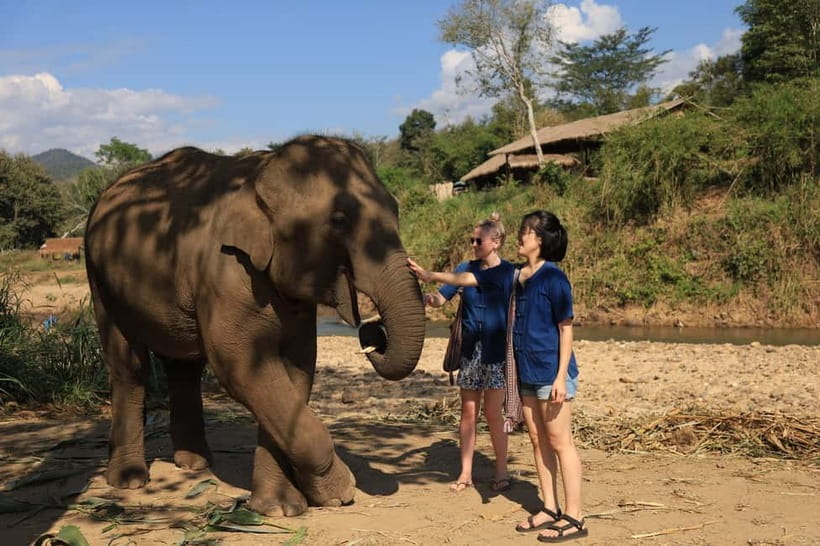 Chiang Mai: Doi Inthanon Hiking & Elephant Sanctuary Program - Karen hilltribe coffee farm: more than a snack stop