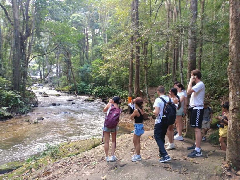 Chiang Mai: Doi Inthanon Hiking & Elephant Sanctuary Program - Who should book this day trip (and who should skip it)