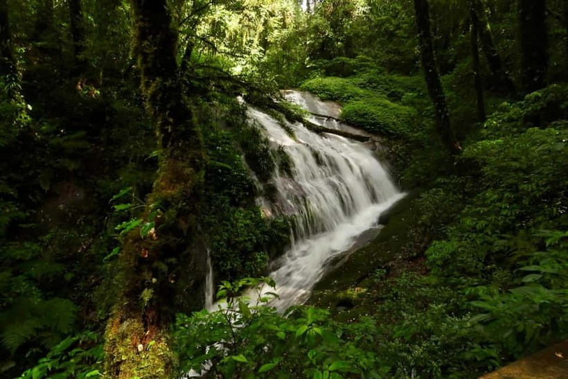 Chiang Mai: Doi Inthanon National Park and Kew Mae Pan Tour - Kew Mae Pan Nature Trail: where the day gets physical