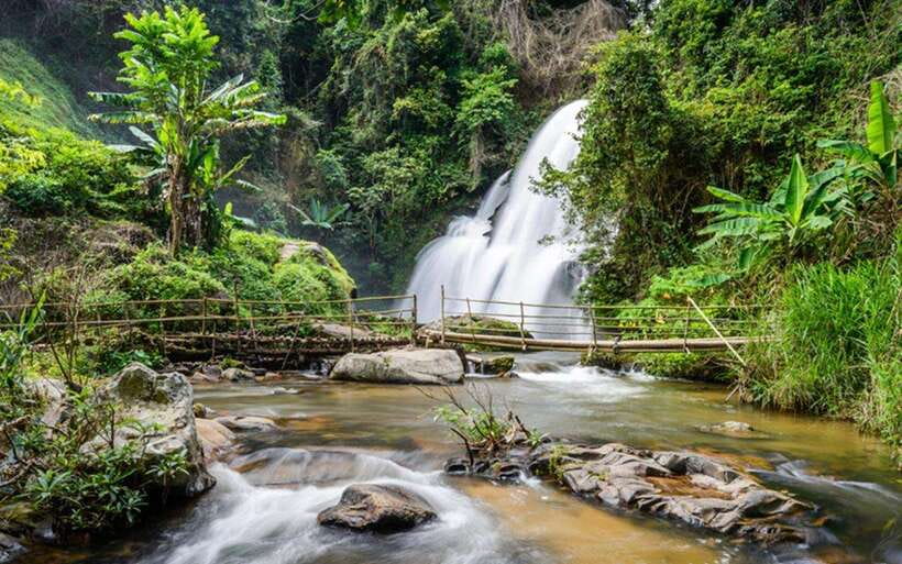 Chiang Mai: Doi Inthanon National Park and Pha Dok Siew Trek - One-day escape to Doi Inthanon’s cool air