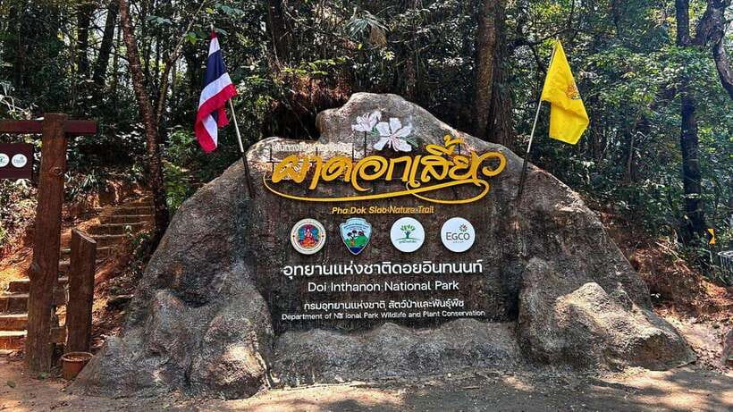 Chiang Mai: Doi Inthanon National Park and Pha Dok Siew Trek - Doi Inthanon National Park: visitor center, viewpoints, and the pagoda walk
