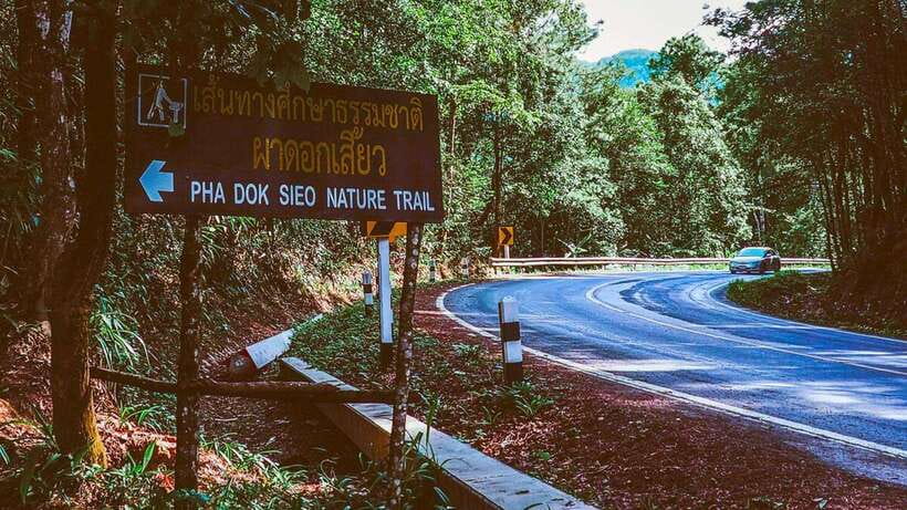 Chiang Mai: Doi Inthanon National Park and Pha Dok Siew Trek - Pha Dok Siew Nature Trail: gentle hours with real jungle footing