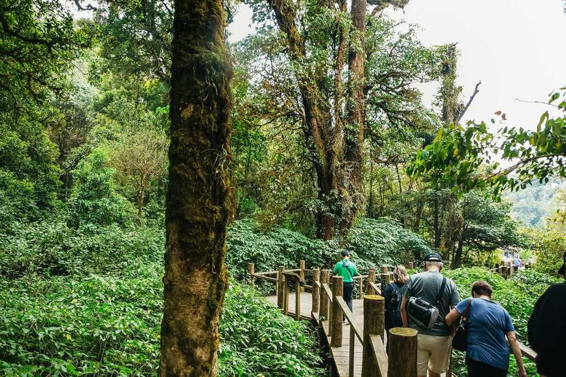 Chiang Mai: Doi Inthanon National Park Eco-Friendly Tour - Key things to know before you go