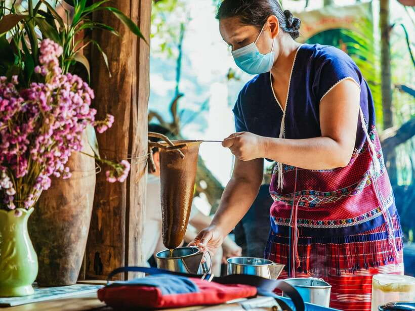 Chiang Mai: Doi Inthanon National Park Eco-Friendly Tour - Pace and Group Size: Busy, But Built for Comfort