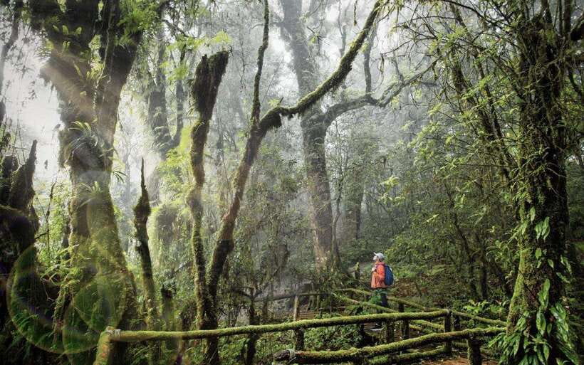 Chiang Mai: Doi Inthanon National Park Sightseeing Only - Doi Inthanon in One Day: Why This Route Works