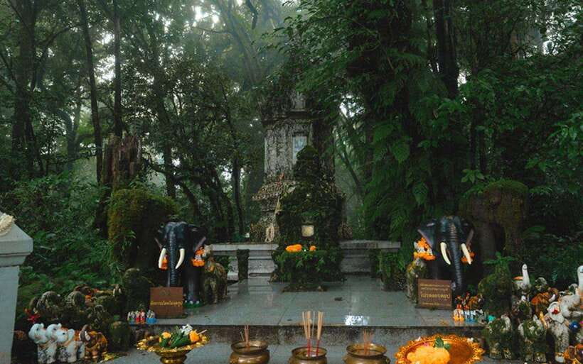 Chiang Mai: Doi Inthanon National Park Sightseeing Only - Waterfall Day: Sirithan and Wachirathan