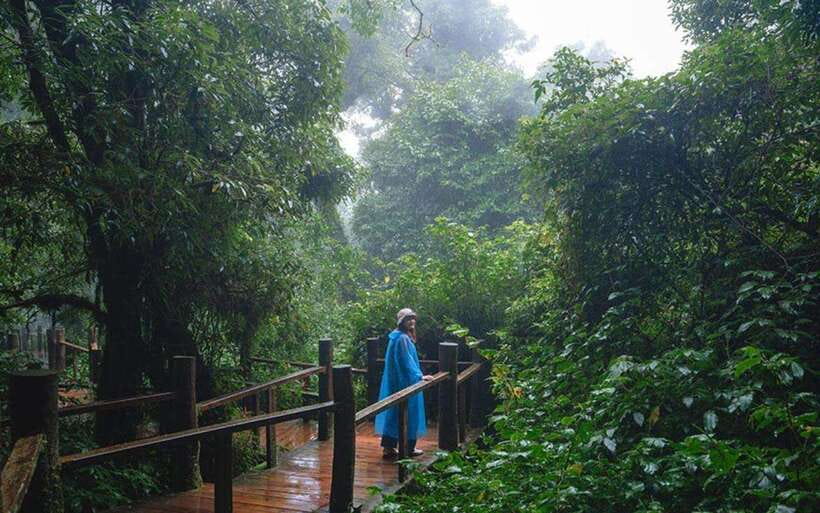 Chiang Mai: Doi Inthanon National Park Sightseeing Only - Lunch Plus Hill-Tribe Coffee and Flower Tea