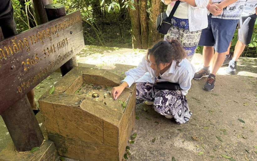 Chiang Mai: Doi Inthanon National Park Sightseeing Only - Getting There Smoothly: Pickup, Van Time, and Group Size