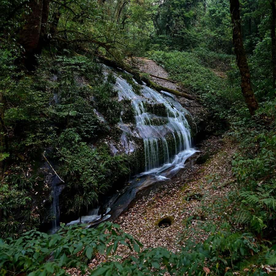 Chiang Mai: Doi Inthanon National Park, Waterfall & Lunch - Price and value: does $37 make sense for this day?
