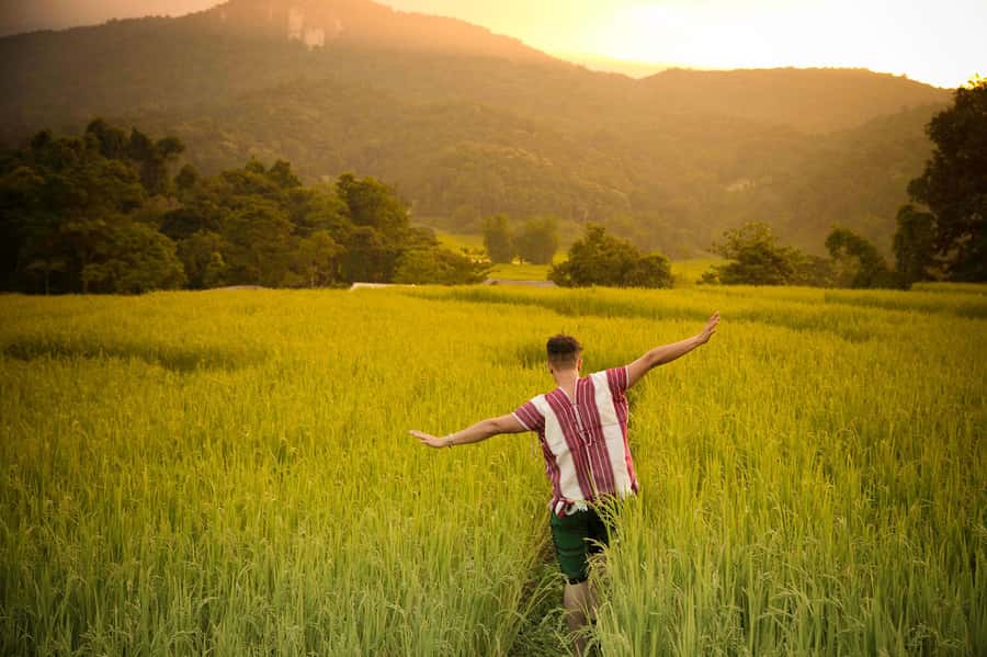 Chiang Mai: Doi Inthanon National Park, Waterfall & Lunch - The highest point experience: cold air and big sky moments
