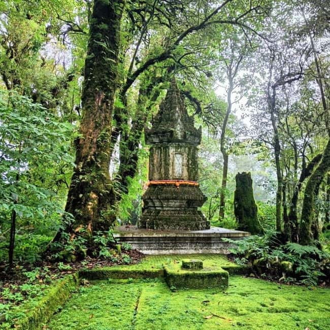 Chiang Mai: Doi Inthanon National Park+Trek Pha Dok Siew - Phra Mahathat Naphamethanidon and the King and Queen Pagodas