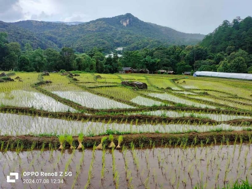 Chiang Mai: Doi Inthanon National Park+Trek Pha Dok Siew - Price and Value: About $64 for a Full Park Circuit