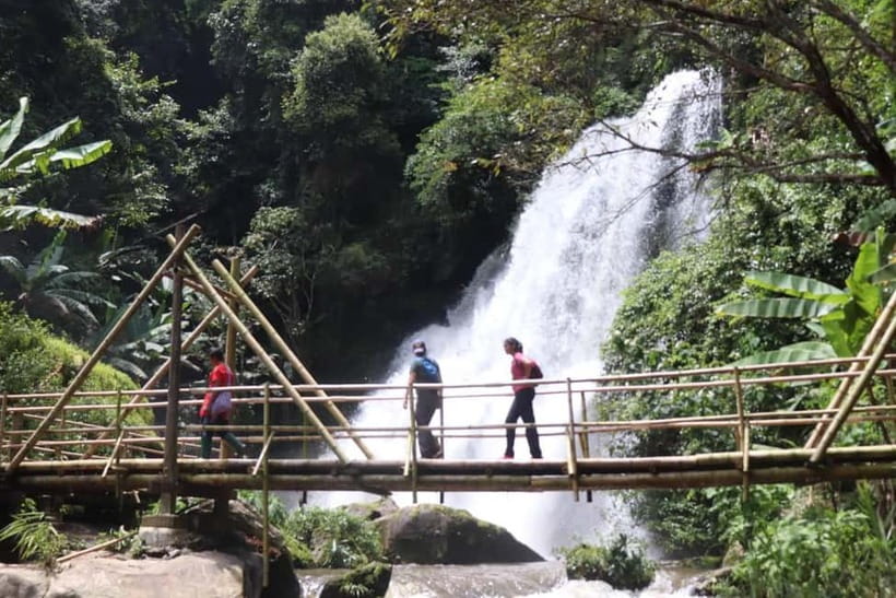 Chiang Mai: Doi Inthanon National Park+Trek Pha Dok Siew - Summit Time: Hitting 2,565 Meters and the Real Mountain Feel