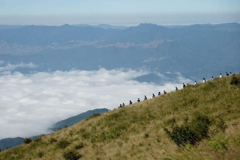 Chiang Mai: Doi Inthanon Park and Kew Mae Pan 2-Hour Hike - A full day up Doi Inthanon’s cool air (and why it works)