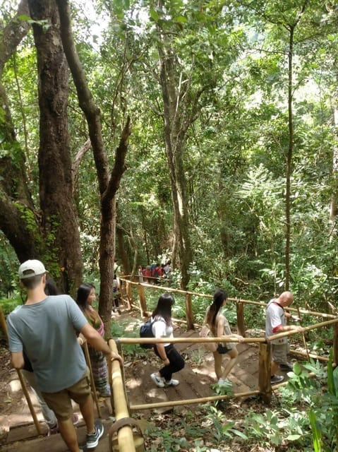 Chiang Mai: Doi Inthanon Park and Pha Dok Siew Hike Day Trip - Guide quality and group size: how to make sure you get your money’s worth