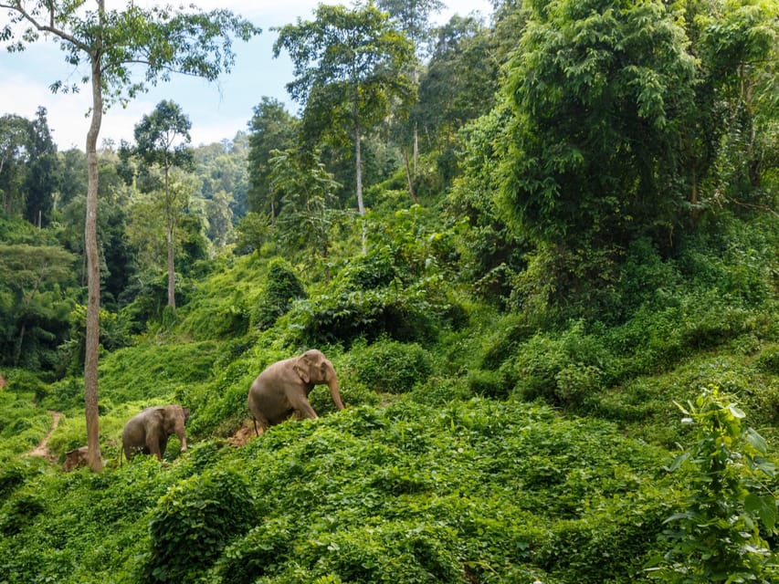 Chiang Mai: Doi Inthanon Park and Pha Dok Siew Trail Trek - Why this Doi Inthanon day trip is a smart pick from Chiang Mai