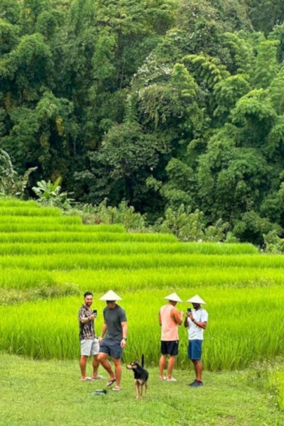 Chiang Mai: Doi Inthanon Park and Pha Dok Siew Trail Trek - Getting moving: pickup, timing, and what that means for your day