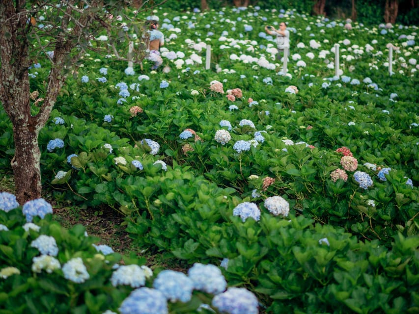 Chiang Mai: Doi Inthanon Park and Pha Dok Siew Trail Trek - Village culture stops: market shopping and terrace farming